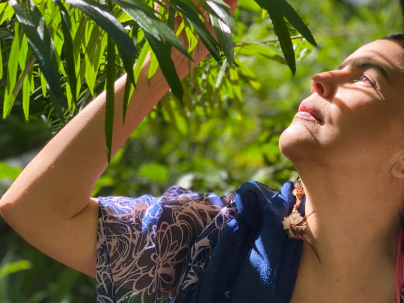 The Path of Infinite Light