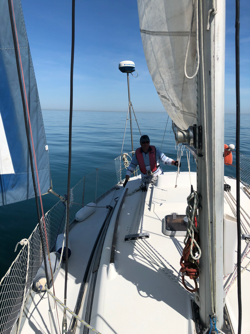 EXPERTISES AVANT ACHATS &amp; VENTES