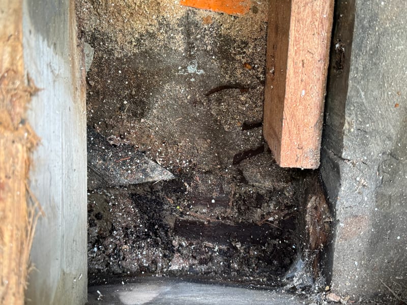 EXPERTISES AMIABLES &amp; CONTRADICTOIRES