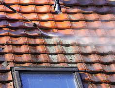 Roof Cleaning