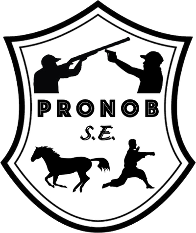 Pronob SE