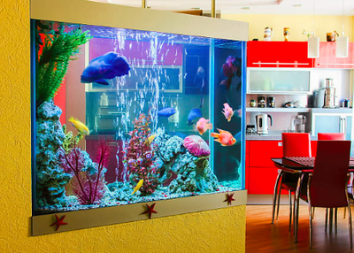 topfishtanks image