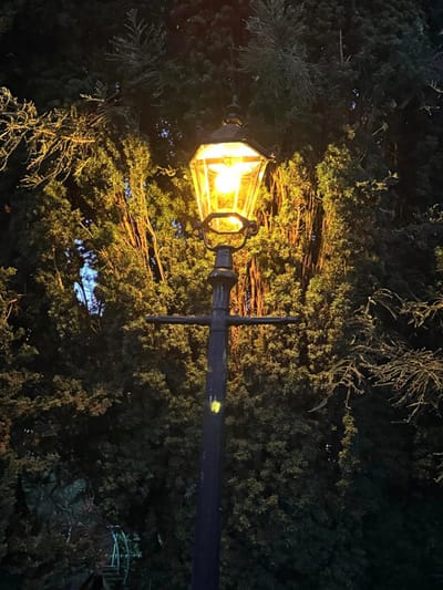Garden Lighting