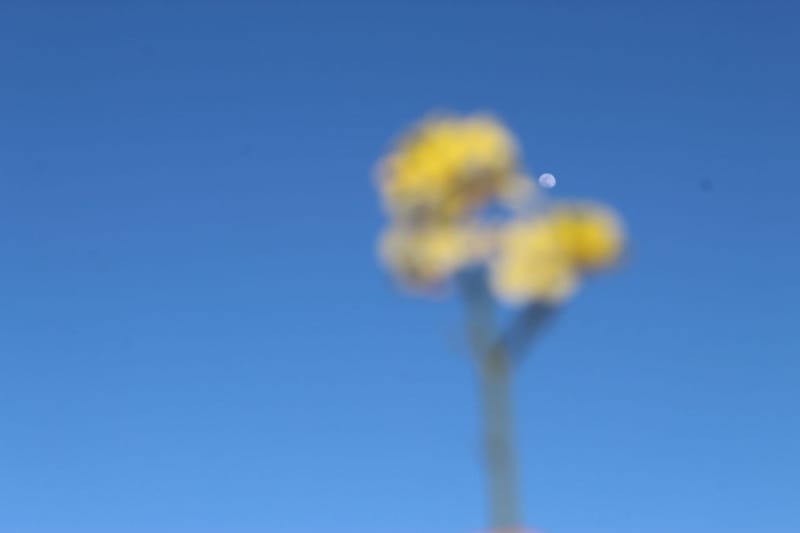 Moon