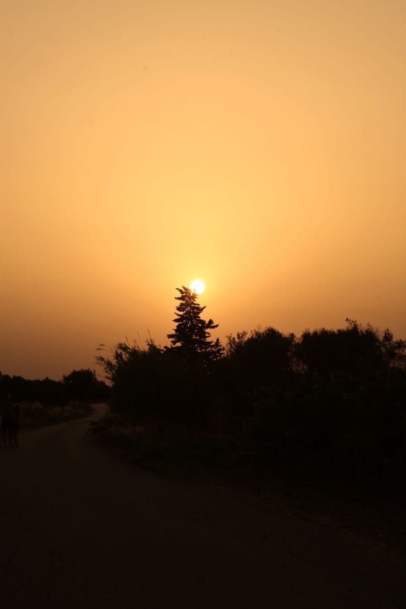 Sunset