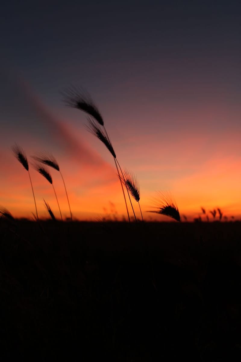 Countryside