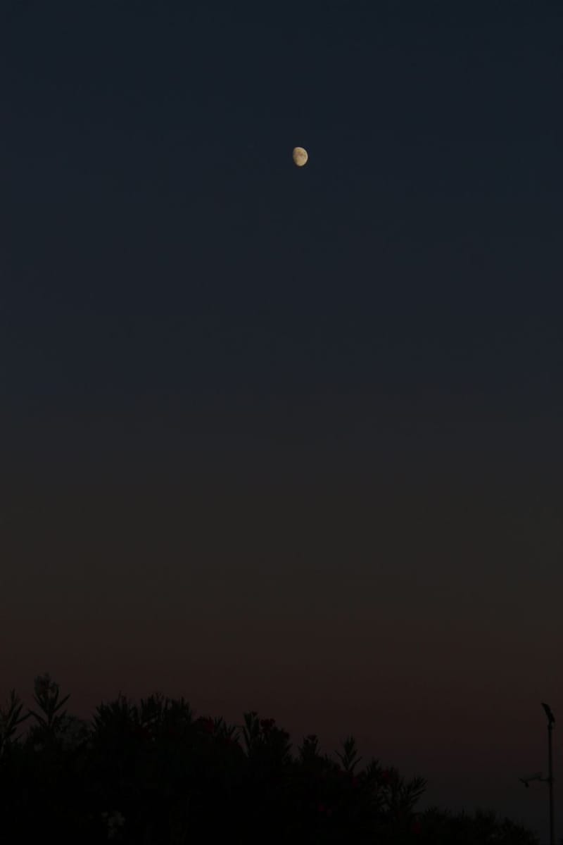 Moon