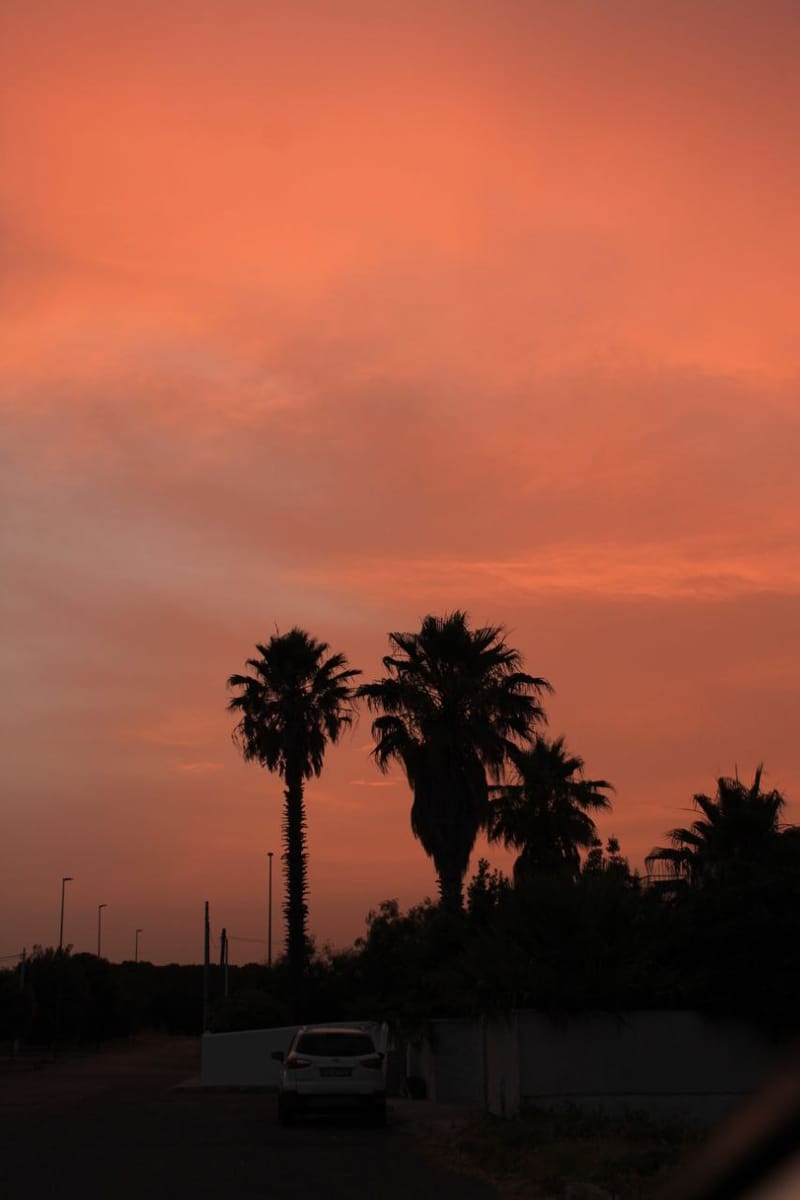 Sunset