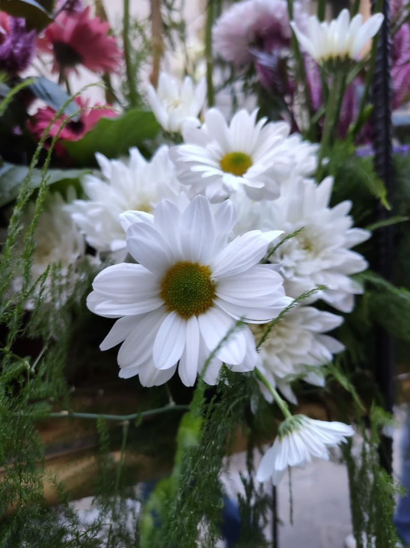 Flowers/Leaves