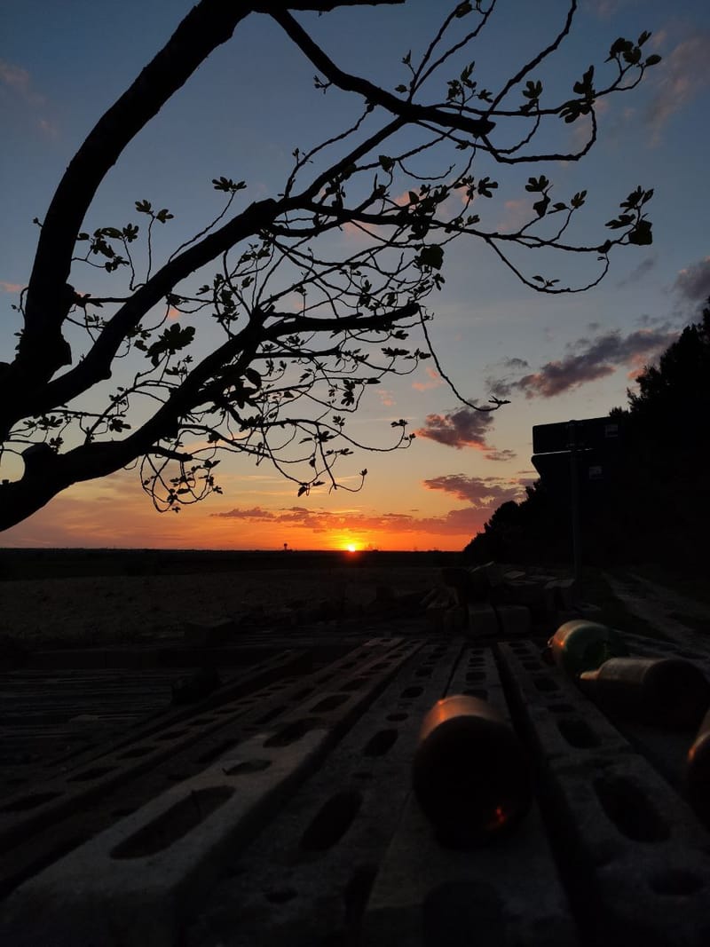 Sunset