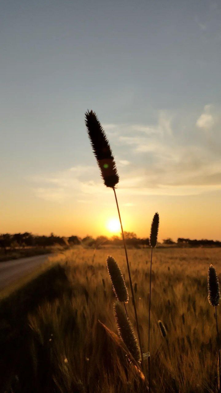 Countryside