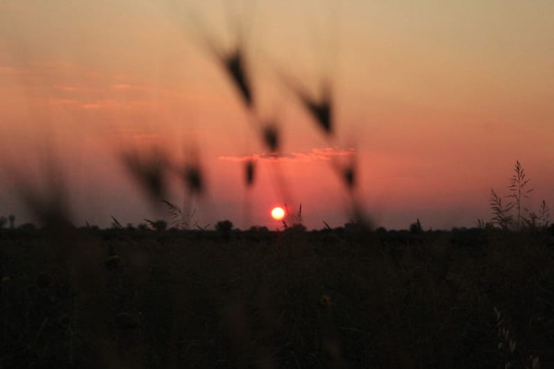Countryside