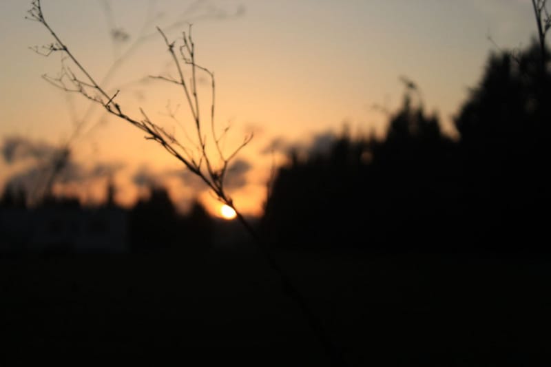 Sunset