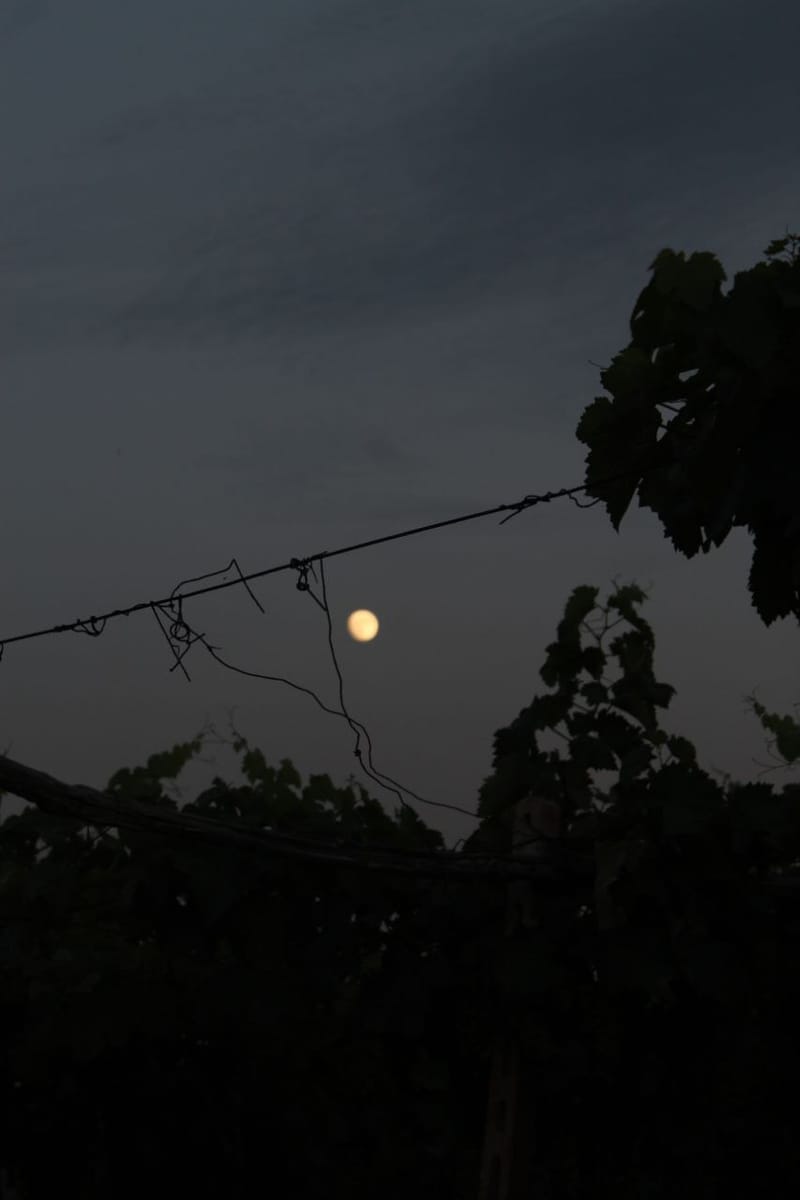 Moon