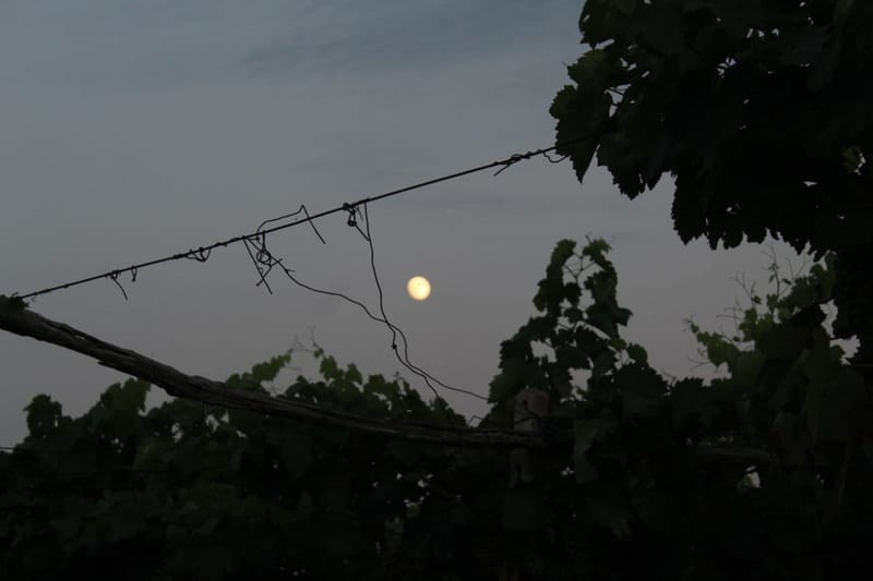 Moon