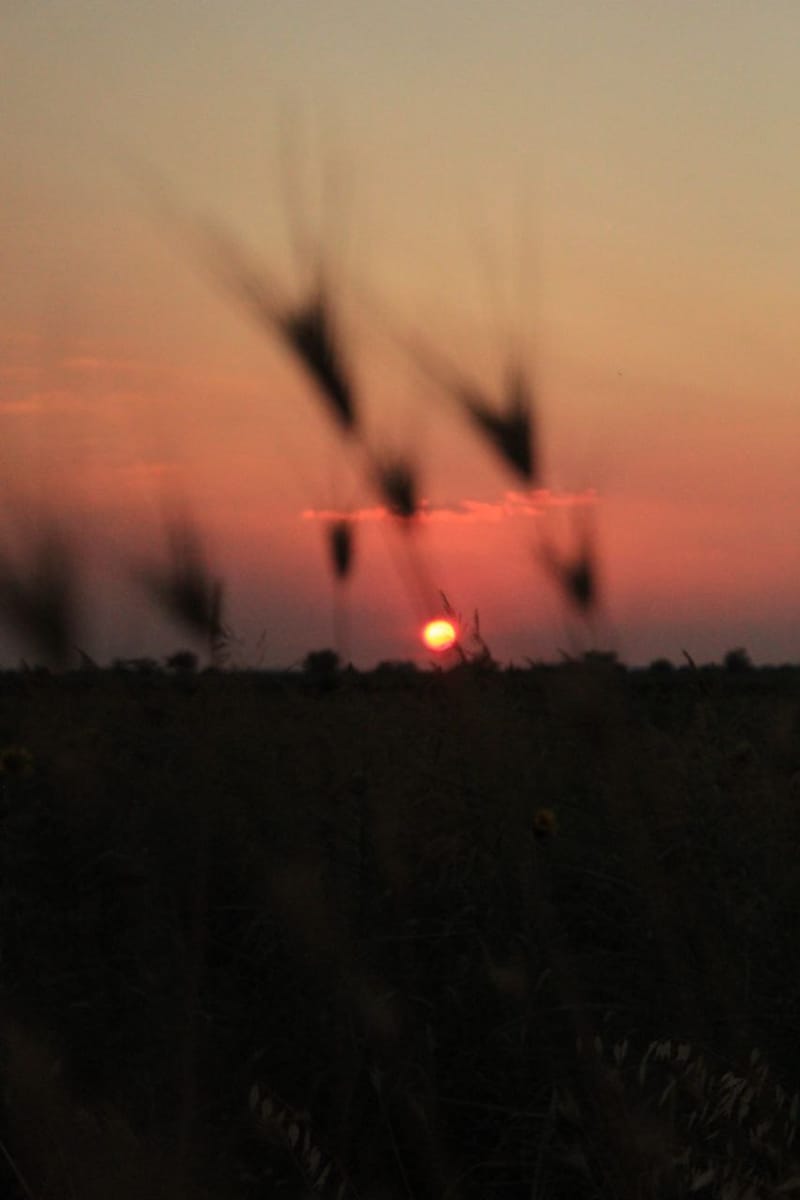 Countryside