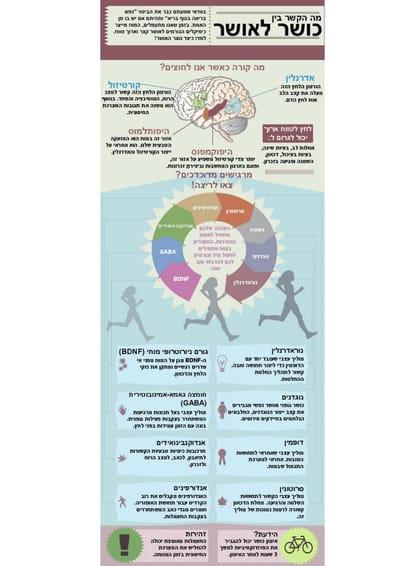 למה כושר גורם לאושר