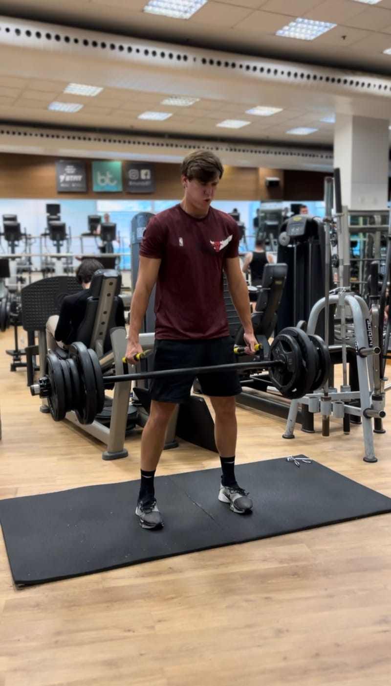 TREINO DE FORÇA