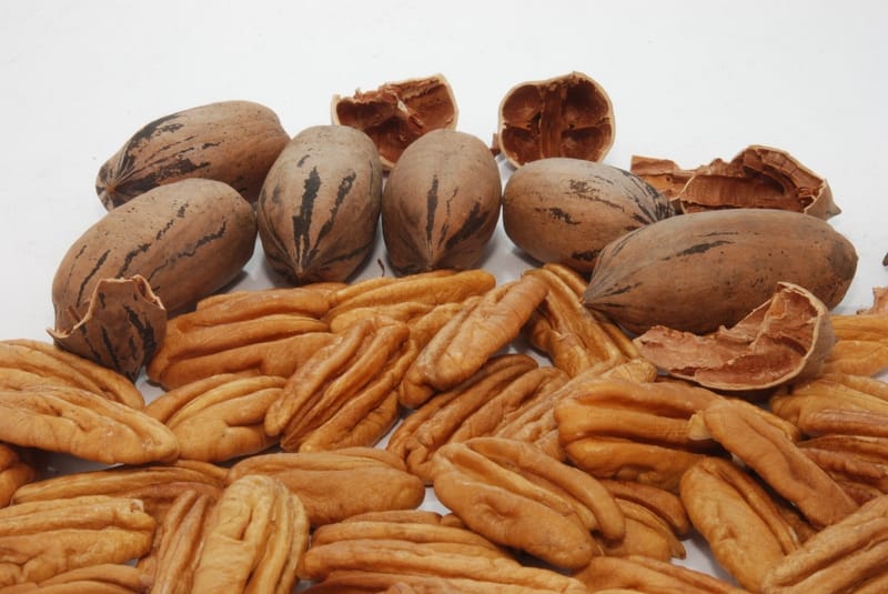 Nueces Pecan: Deliciosas y nutritivas