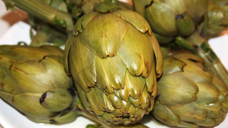 Alcaucil (alcachofa), beneficios y propiedades