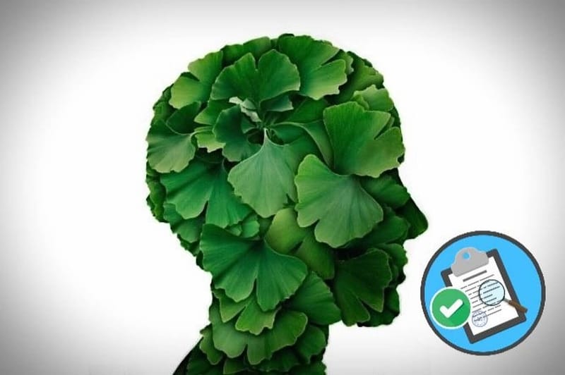 Beneficios saludables del Gingko Biloba