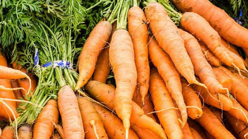 La zanahoria y sus beneficios para la salud