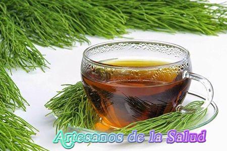 Tenga un mejor cabello y evite su caída con cola de caballo