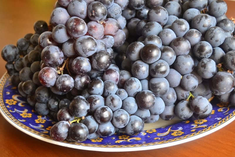 Semillas de uva negra, el mejor antioxidante
