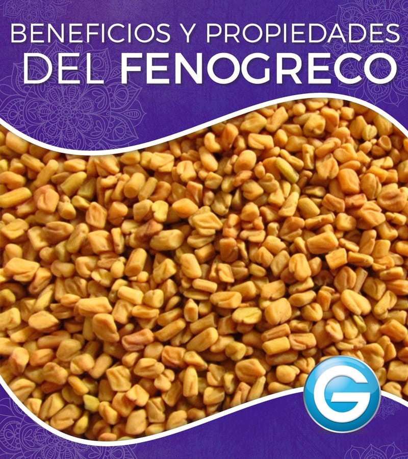 Fenogreco; usos, propiedades y beneficios