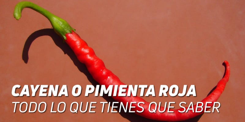 La Cayena y sus propiedades sanadoras