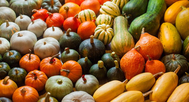 La calabaza (zapallo), un aliado de la salud