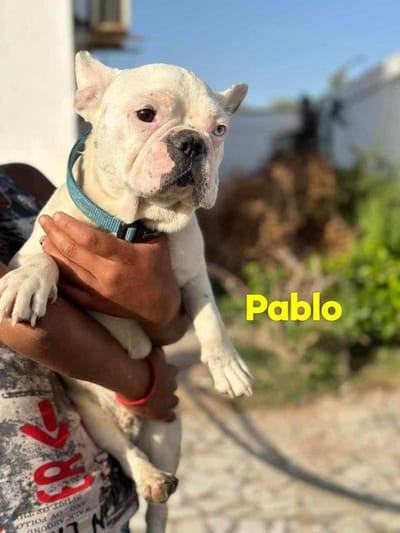 Pablo