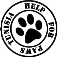 Help Paws Tunisia