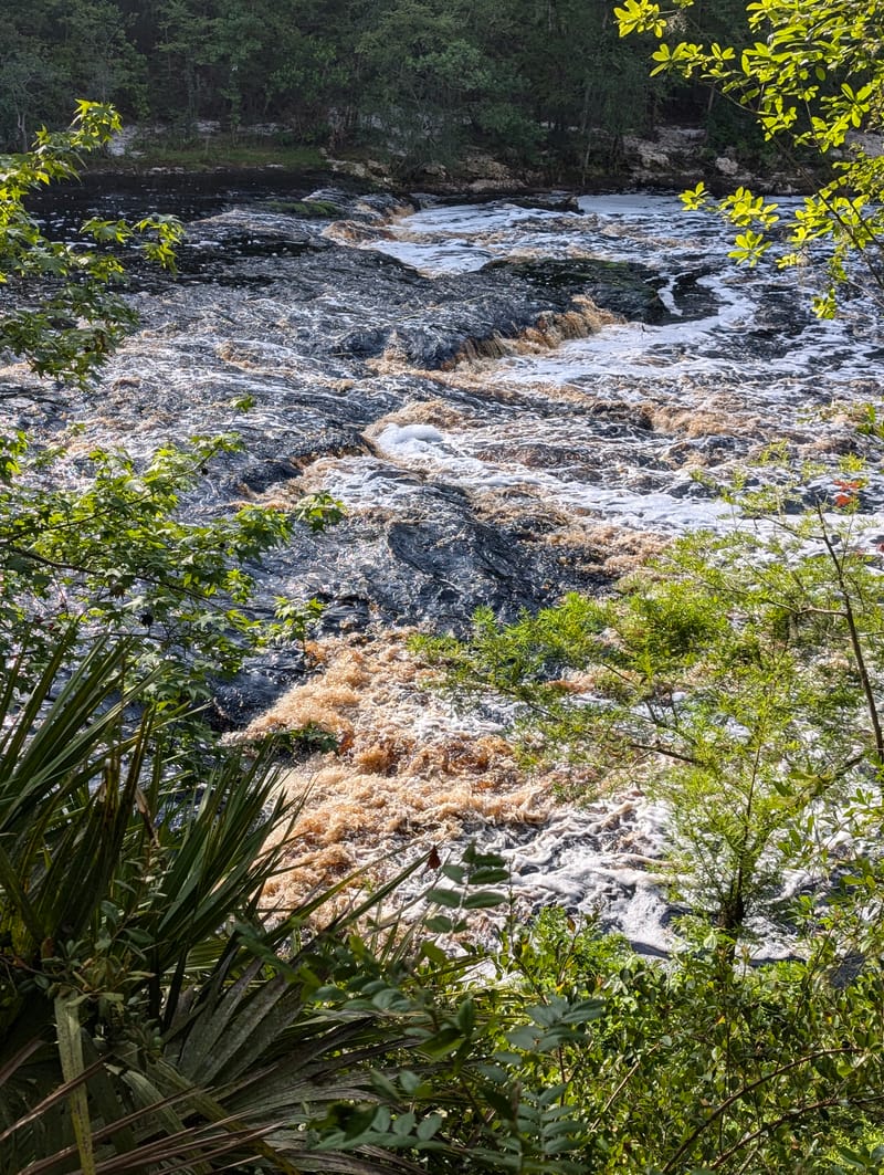 Big Shoals State Park