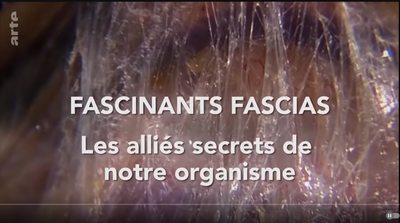 Documentaire Arte sur les fascias