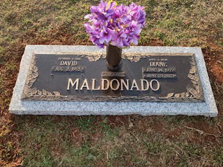 Delivery &amp; Installation