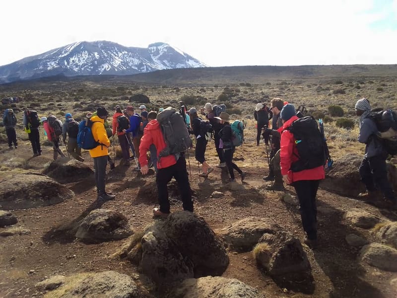 Kilimanjaro Trips