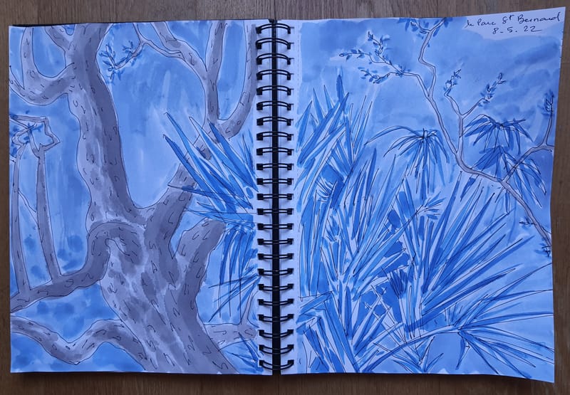 Urbansketchers et Hyères en croquis