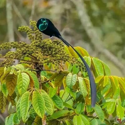 7 BIG THINGS A START-UP MUST HAVE TO SUCCEED