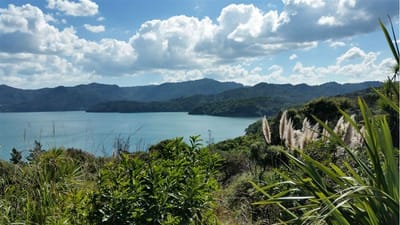 9 STEPS TO STARTING A BUSINESS