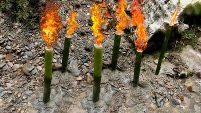 7 BIG THINGS A START-UP MUST HAVE TO SUCCEED