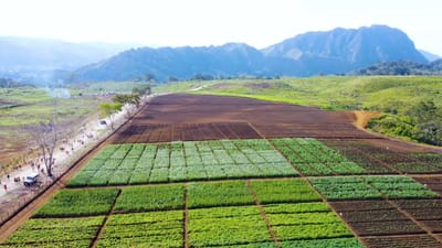 HOW TO MAKE EXTRA MONEY