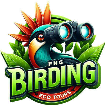 PNG Birding Eco Tours