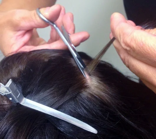 Hair Follicle Panels