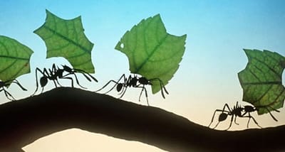 CLASIFICACIÓN DE LOS PLÁSTICOS image