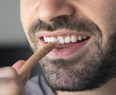 CEPILLO DIENTES RAÍZ SALVADORA PÉRSICA