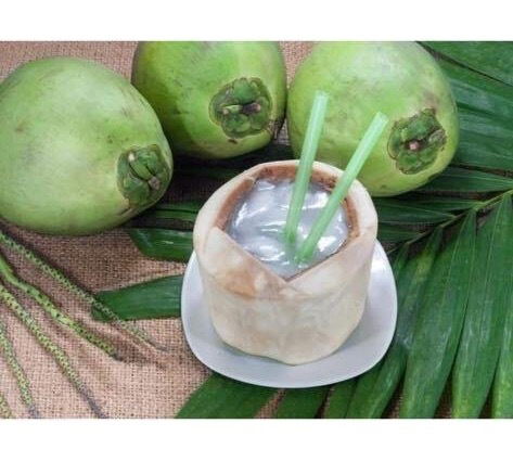 Fresh Coconut