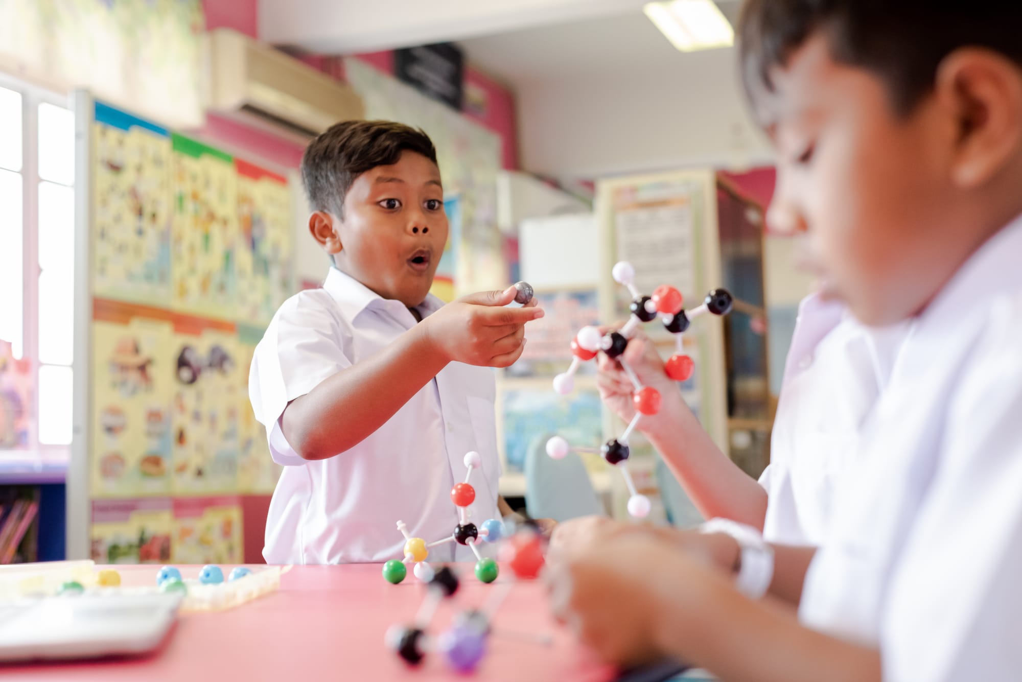 Fundraising Program for Child Development Research Fundraising Activities Details