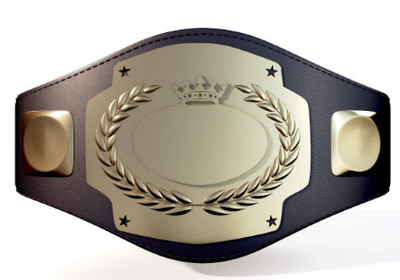 ricflairzine image