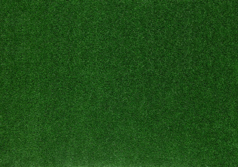 MALOWANIE TRAWNIKÓW